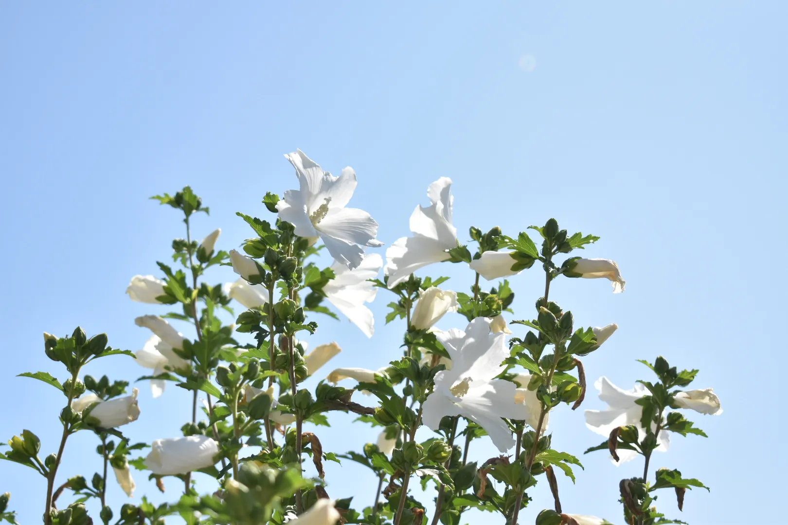 Hand comforting someone in need