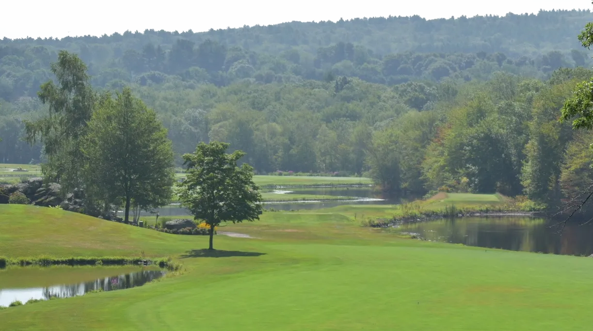 Golfers walking on golf course towards sunrise