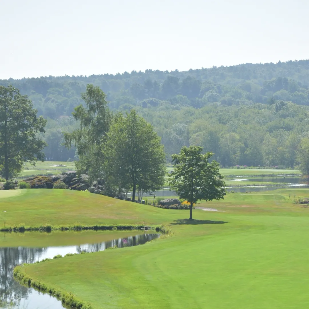 Follow the Light of Their Legacy