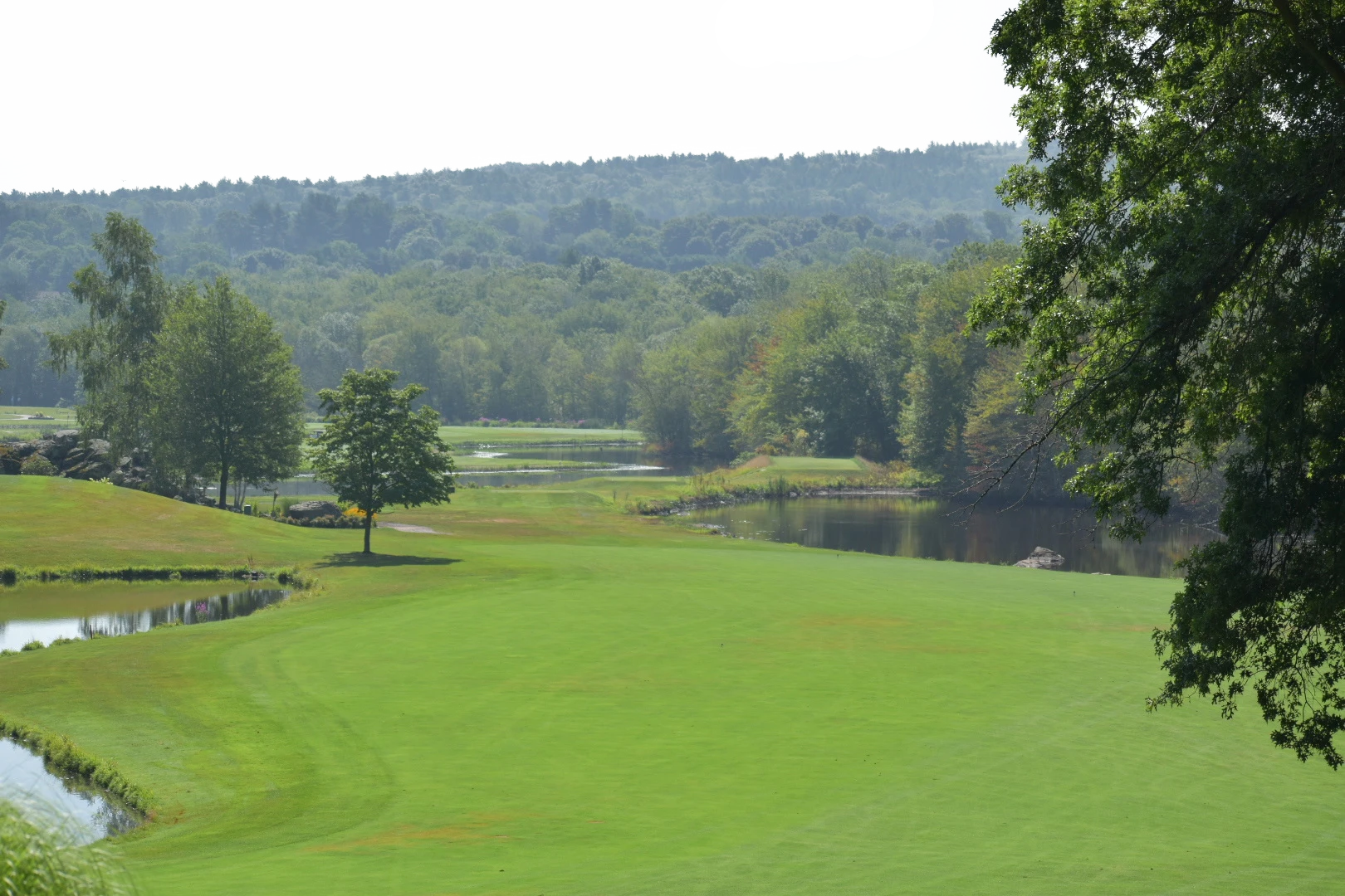 LennyMade Foundation Hero