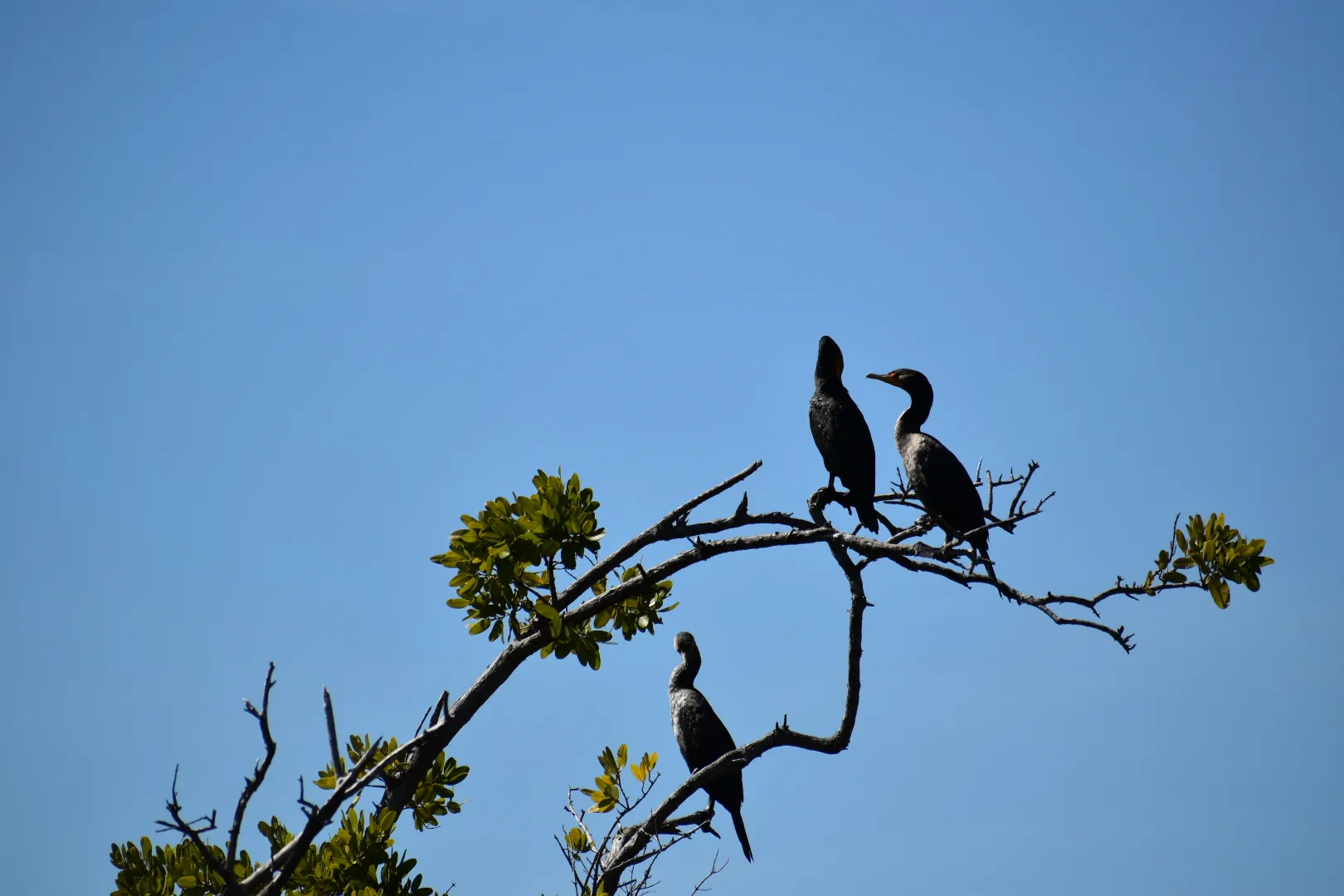 Live in a Way That Honors Them