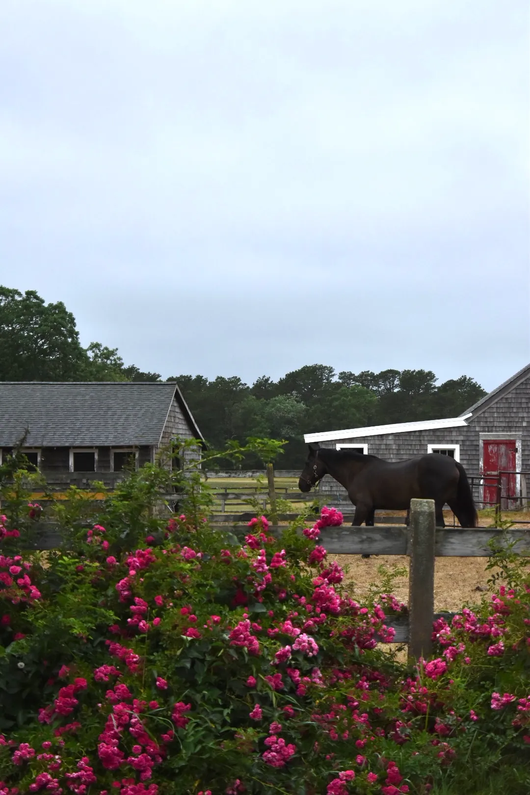 Grieve Openly and Honestly